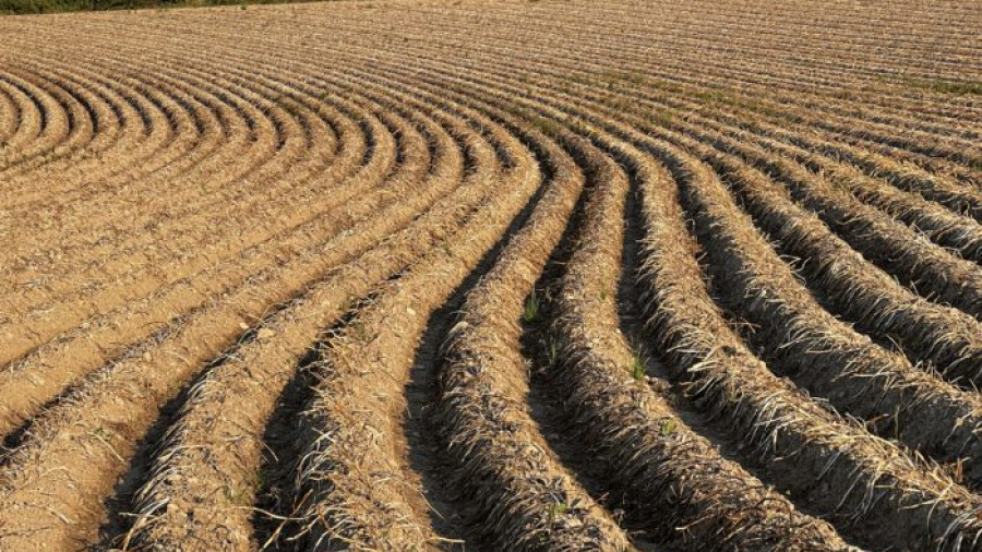 Feld in S&uuml;dtirol mit sehr regelm&auml;&szlig;igen klaren Wellen im Boden. Symbolisiert klare Information und Struktur ohne St&ouml;faktoren.