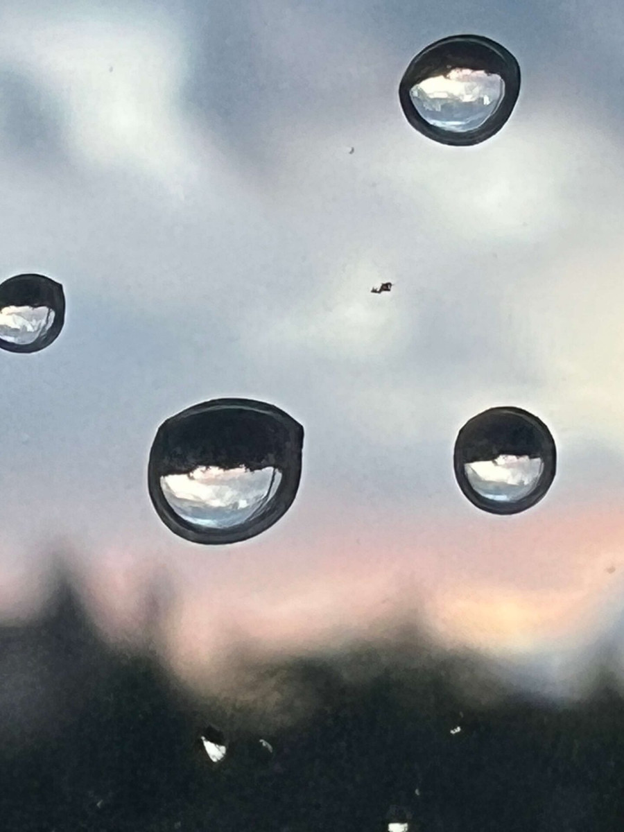 Wassertropfen auf einer Scheibe kokussieren den Hintergrund