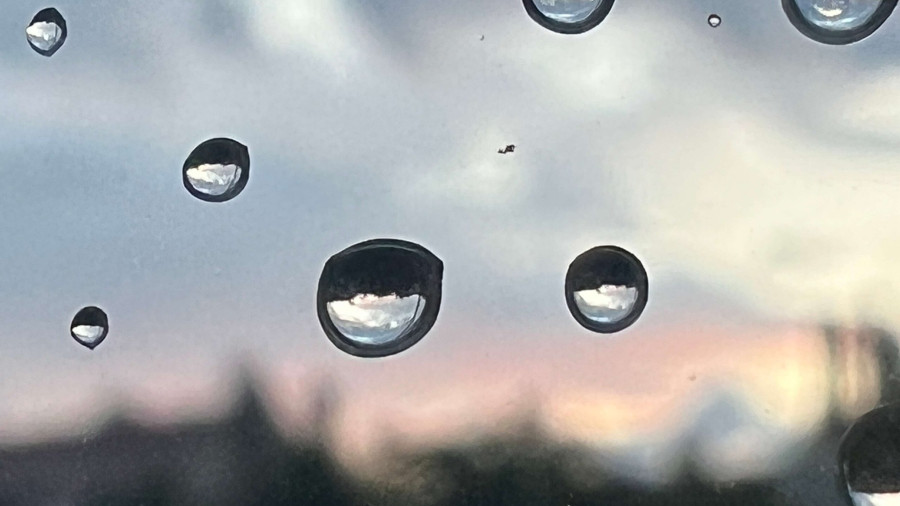 Wassertropfen auf einer Scheibe kokussieren den Hintergrund